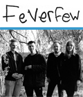 Feverfew